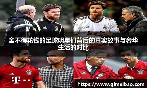 365WM完美体育官网