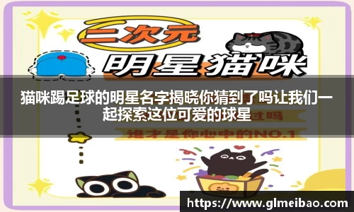 365WM完美体育官方app